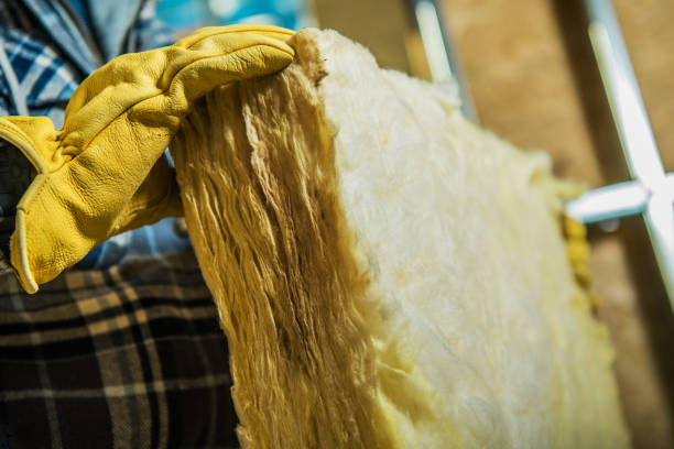 Best Specialty Insulation in Jackson, TN